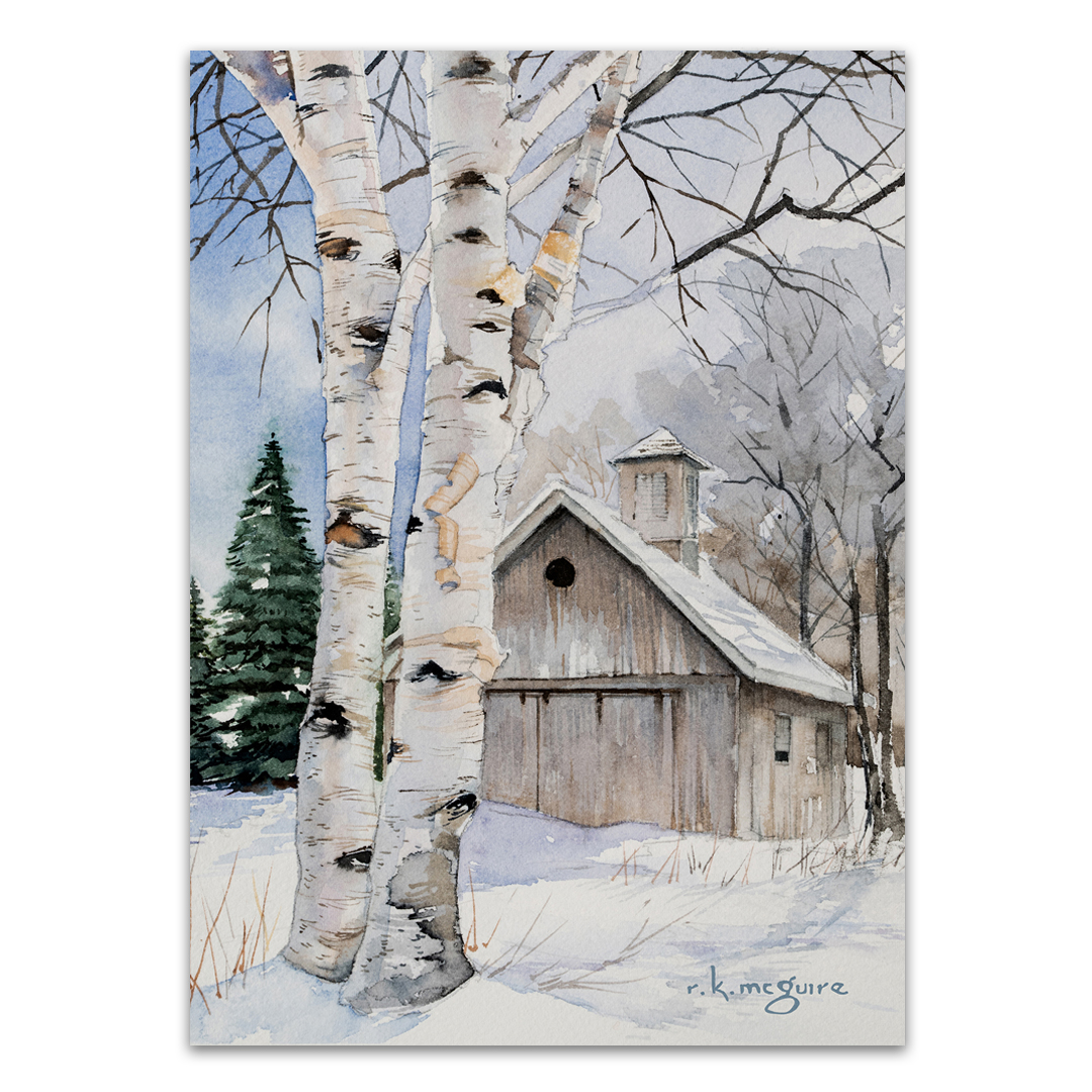 Birch in Winter
